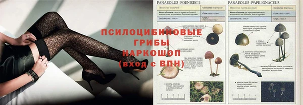 МДПВ Богданович
