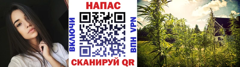 Купить  Кирсанов  Бошки марихуана THC 21% 